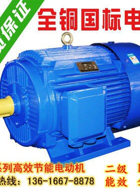 YE4三相异步电动机11/15/18.5/22/30/37/55千瓦45KW国标380V电机