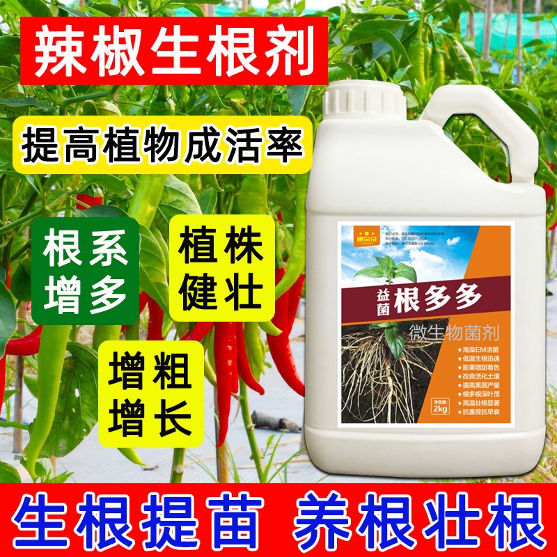 辣椒生根剂生根壮苗剂发根液专用灌根复合微生物菌肥水溶肥根多多