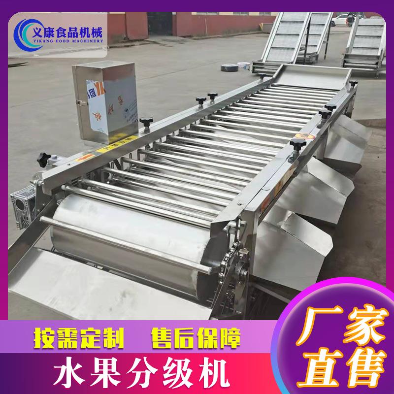 厂家供应不锈钢滚动滚杠自动桔子分级机 火龙果土豆分级机设备
