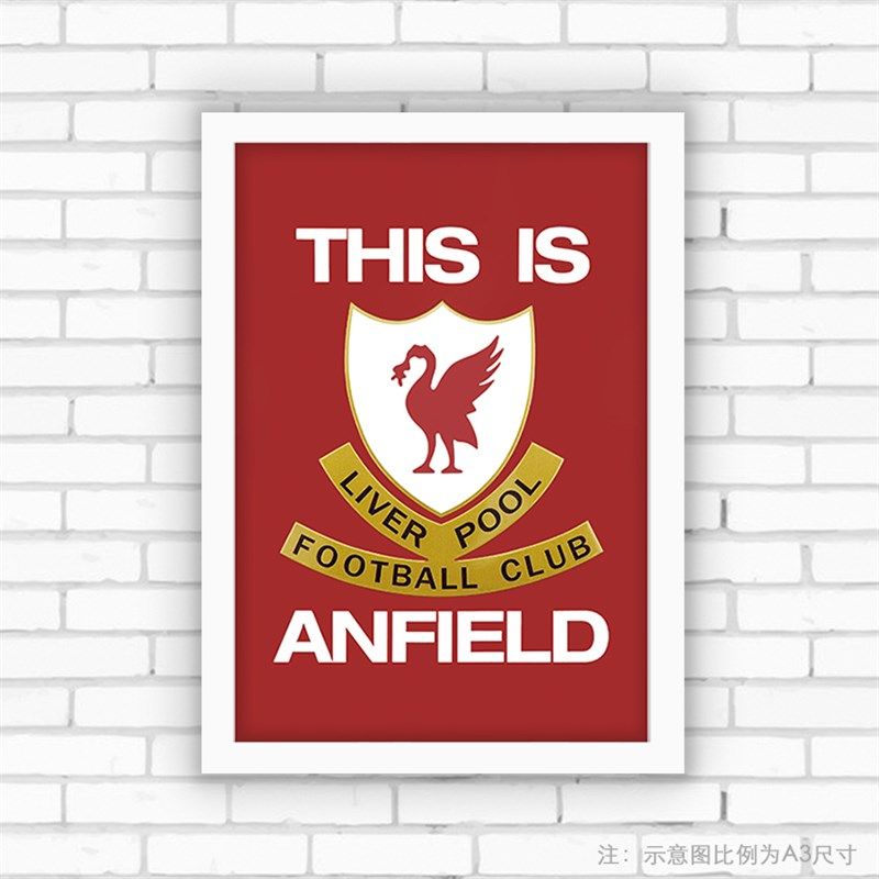 A3超大简约照片实木装饰画挂相框 this is anfield利物浦球员通道