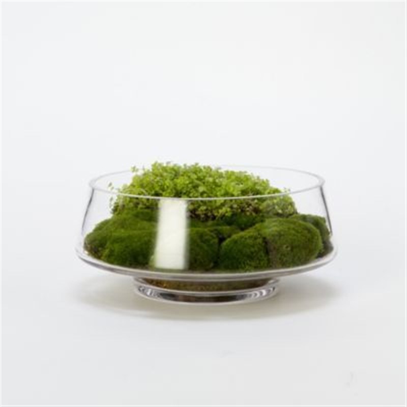 现代小型仿真苔藓花艺桌花 茶几端景台装饰花艺 样板房会所酒店软