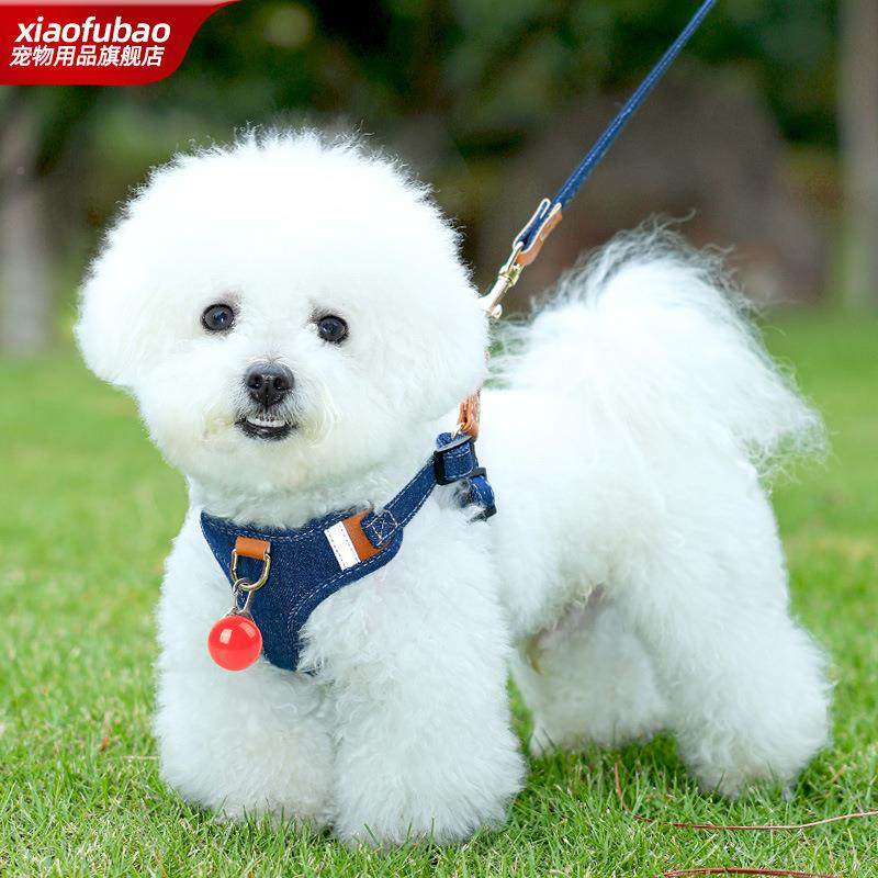 狗牵带引绳比熊胸背泰迪柴圈861犬中小狗型犬背心式伸缩狗绳项防,宠物/宠物食品及用品,猫牵引绳,淘宝优惠券,粉丝福利购,淘宝优惠卷