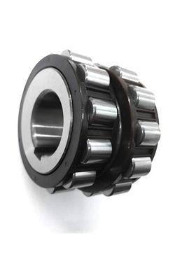 圆柱子滚整体偏轴心轴承双列偏心轴承735DFJ052904承