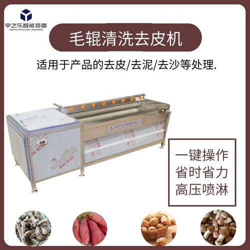 全自动毛辊果蔬去皮清洗机