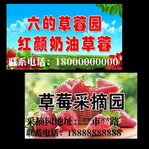 定做草莓园广告海报挂布果园采摘背景挂布定制设计广告宣传布