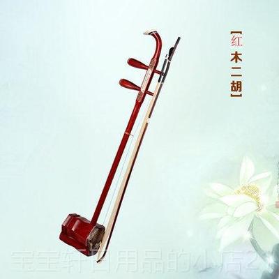 高档红木二乐器初者练习演奏器考级学通用二胡民族胡乐胡琴送琴盒