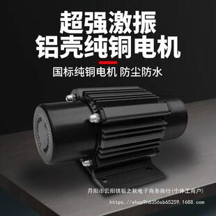 小电动刮平尺泥水地坪整平机465震器动混凝土刮尺锂电型振平尺找