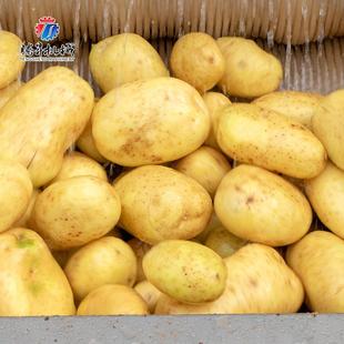 工厂直销根茎类蔬菜清洗全不锈钢毛清洗刷机机TS M600湖湘潭南马