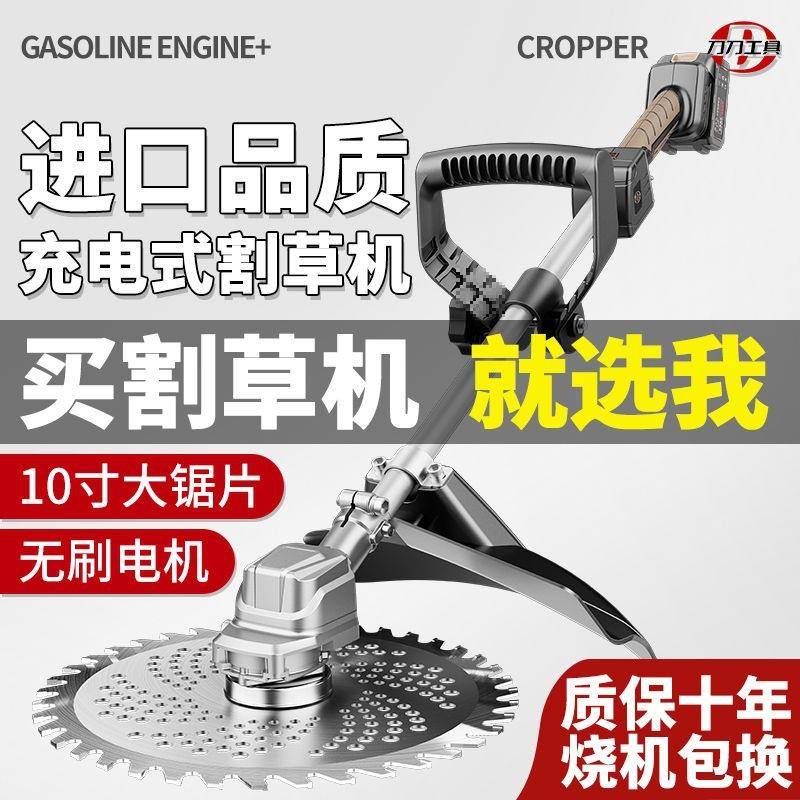 RSW进口电动割草机小型家电用除草机能电式草坪充修剪机锂多功打