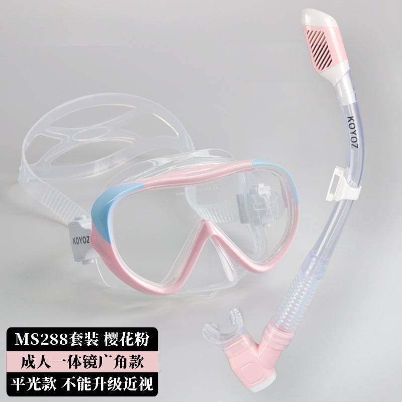 浮潜三宝套装潜水镜全干式呼吸管防雾近视面罩护鼻水肺游潜水装备