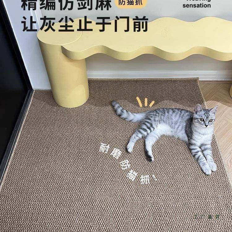 户门地2025新款仿剑麻门垫入进入门口门玄关门外地毯脚垫垫QCY可