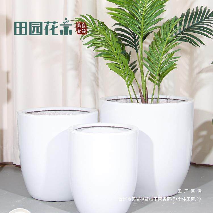 陶瓷色花家用客厅特号盆纯白大口无品牌/径发财树金钱树绿植大花
