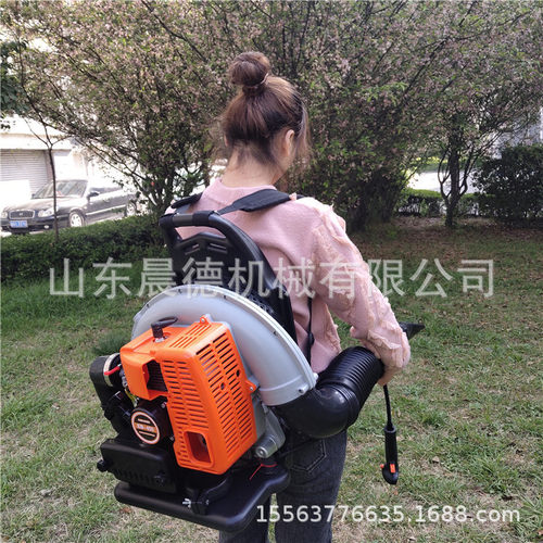 背负式汽油吹风机 马路四冲程吹尘工地二冲程吹叶机
