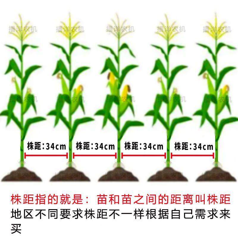 玉米播机点播机工种种地播人种器花生KUY黄量豆多功能精点播种植