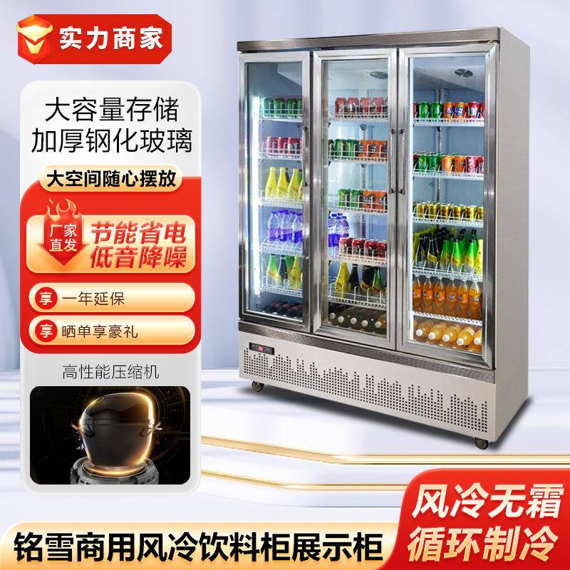 铭雪风冷饮料柜展示柜鲜花保鲜柜超市酒店商用冷饮啤酒柜鲜奶冰柜