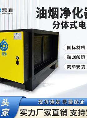 高效型油烟净化器不锈钢电场餐饮酒店学校食堂厨房净化器设备厂家