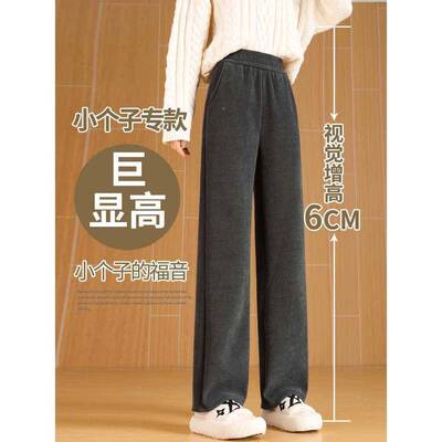 CA2N灰色灯绒子绒裤女秋冬205ZJE加新款芯爆款小个子显高加窄厚版