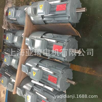 IFGEJ-50-11-2电磁制动刹车电机SFC Motor