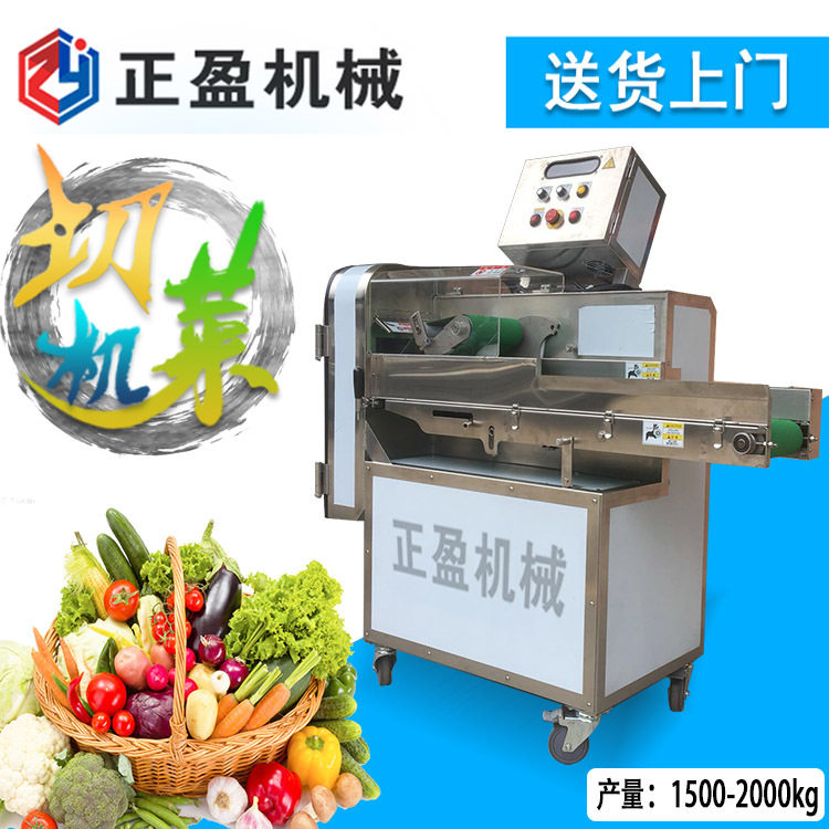 多功能大型切菜机TJ-306A全自动切菜机商用叶菜类切菜机器