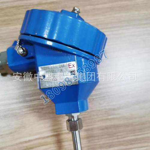 安徽天长市热电偶WRN-230 GH3030 M27*2 L=800*650