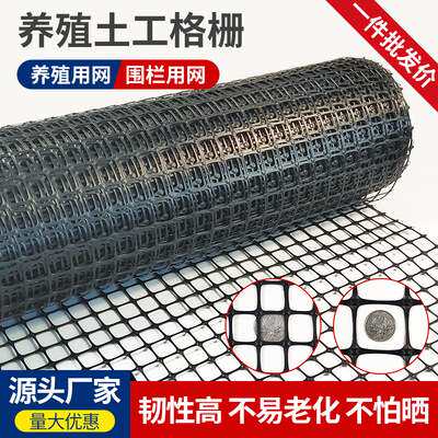 高强度加筋土工格栅厂家 养殖防护公路挡土墙工程加固专用格栅
