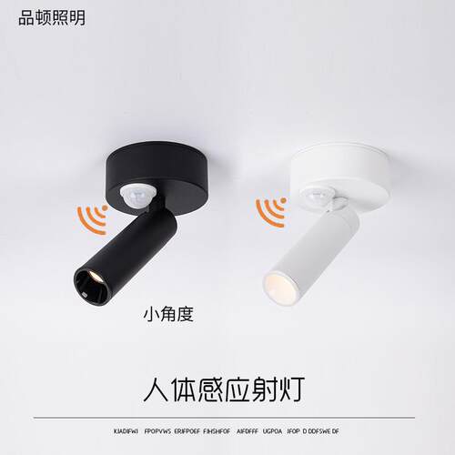 明装感应射灯入户人体感应光控3度8度15度小角度一束聚光小角度