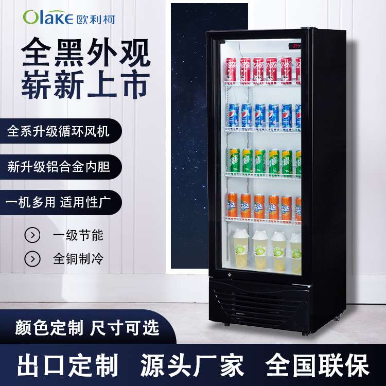 冷藏柜展示柜风冷小型饮料柜水果保鲜柜商用立式风幕柜海雪啤酒柜
