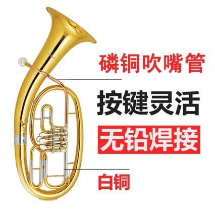 fm三扁键磷铜吹管次中音降B调铜管乐器厂家直发次中音号电吹管