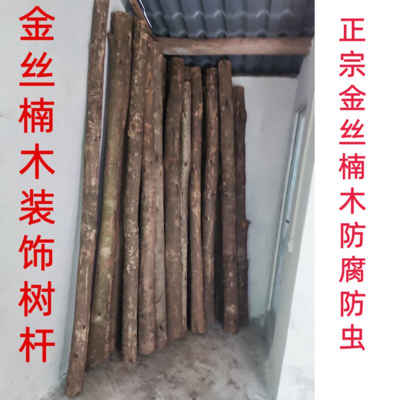 天然金丝楠装饰树杆白桦树干楠木原木干花枯树枝婚庆橱窗隔断造景