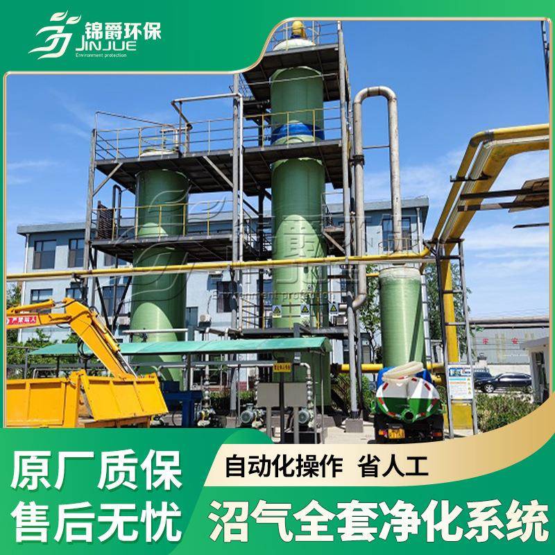 沼气脱硫净化器脱硫罐脱硫塔养殖场脱硫设备增压泵过滤器沼气脱硫