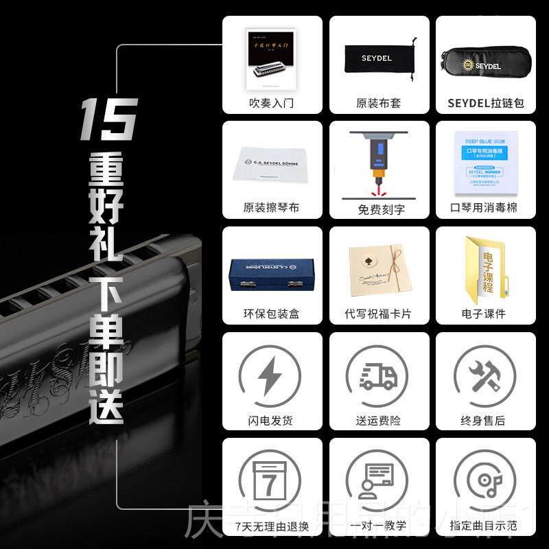 高档德国进S口赛德EYDEL十孔布鲁口琴18斯者47L闪电初学高级专业