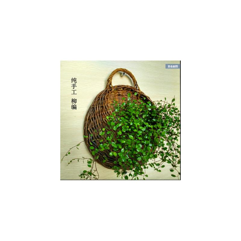 挂篮壁挂花盆藤编花篮吊篮编织吊兰墙上悬挂篮子墙壁挂壁壁挂式
