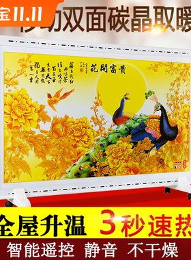 碳晶墙暖取暖器移动式电暖器家用节能双面电暖画落地电热画电热板