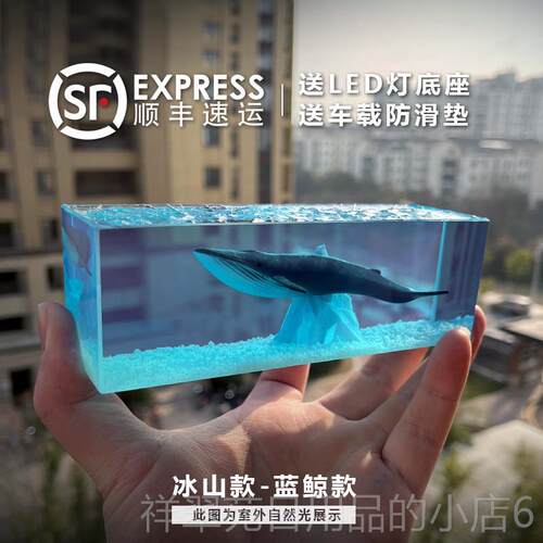 高档LL BLUE树脂蓝鱼鲸滴胶工艺汽车摆件汽车饰品创意生鲸日鲨A礼