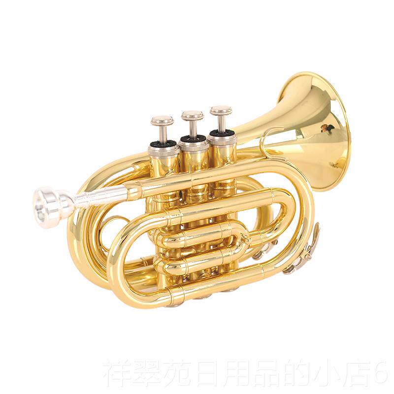 高档原真正的泰乐安棕榈数口袋黄小号与考B平镀银铜小号器初学者