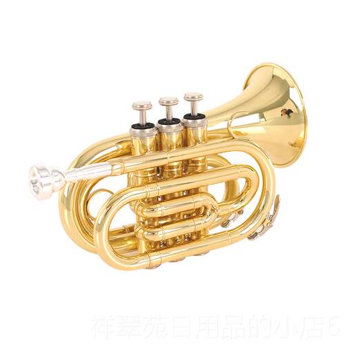 高档原真正的泰乐安棕榈数口袋黄小号与考B平镀银铜小号器初学者