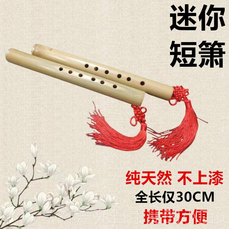 高档洞箫便携桂竹高级短萧六孔G调F调你迷小笛子初风学古器乐竖吹