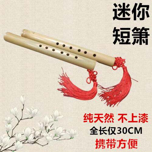 高档洞箫便携桂竹高级短萧六孔G调F调你迷小笛子初风学古器乐竖吹