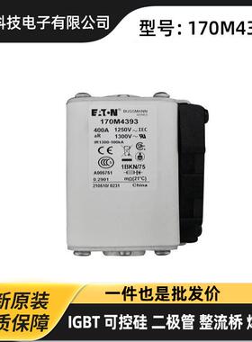 170M7223 170M7224 170M7225 170M7226原厂 电源快速熔断器保险丝