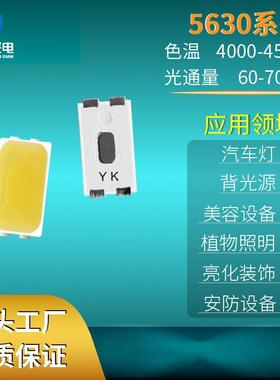 5630白光贴片LED灯珠 汽车高亮灯珠 led灯珠封装厂家
