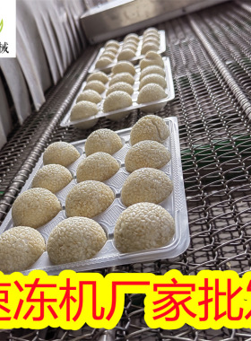 汤圆元宵隧道式速冻机芋圆单冻机面食冷冻设备包子速冻机器