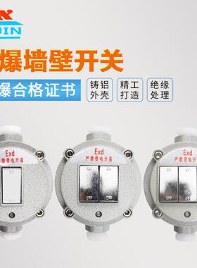 防爆开关220V 10A 明装墙壁86型 单开双开三开 照明开关