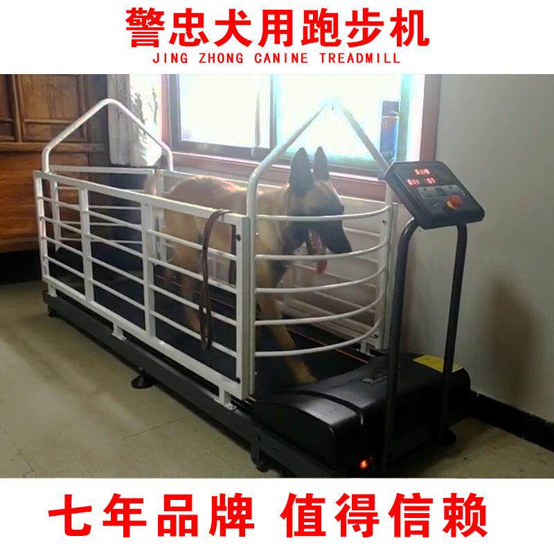 宠物跑步机 狗狗跑步机 犬电动跑步机 犬 大型犬电动跑步机