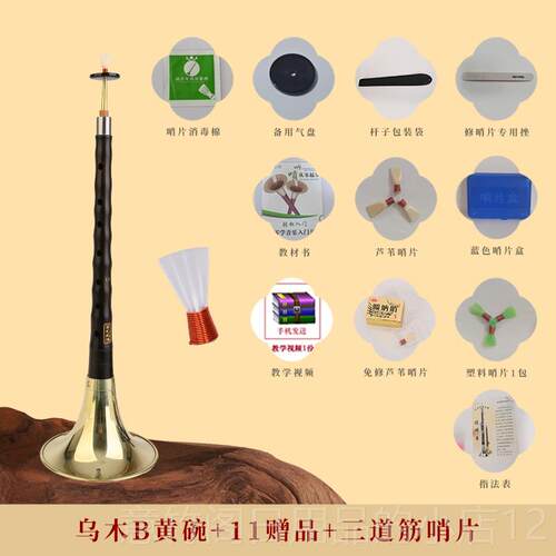 正品宏艺凤鸣呐乐器全乌木黑唢檀木专业演奏考d级调初学者入门套