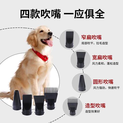 跨宠吹水境机大功222率物宠吹物风机狗狗吹毛机大猫家用烘干