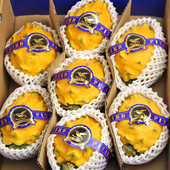 顺丰海南正宗麒麟燕窝果黄皮火龙果新鲜孕妇水果礼盒5斤装 包邮