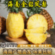 包邮 海南17号金钻凤梨新鲜现摘应季 水果孕妇手撕无眼菠萝大果顺丰