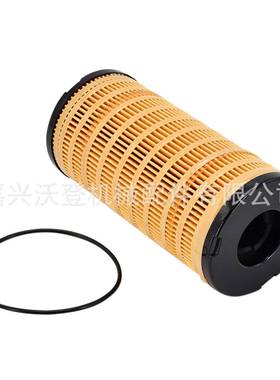 26560163 10000-00339 1R0793 704601 燃油滤芯