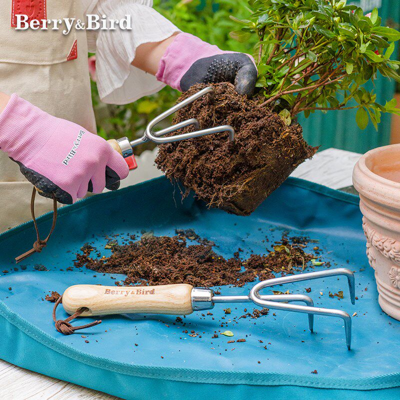 BerryBird三爪耙家用种花种菜松土换盆不锈钢小耙子枯枝落叶清理