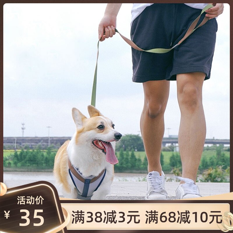 宠物防爆冲胸背带牵引绳泰迪用品小型狗狗背心式遛狗绳防勒脖套装